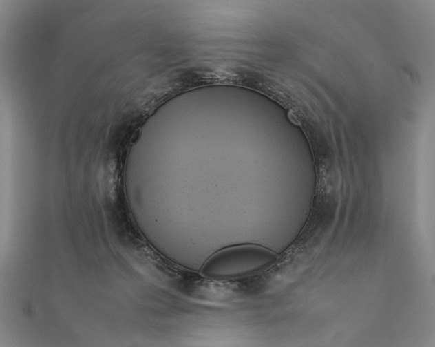 X0000111850223200908061321