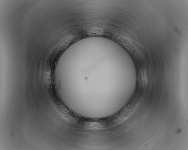 X0000111850224200908061321