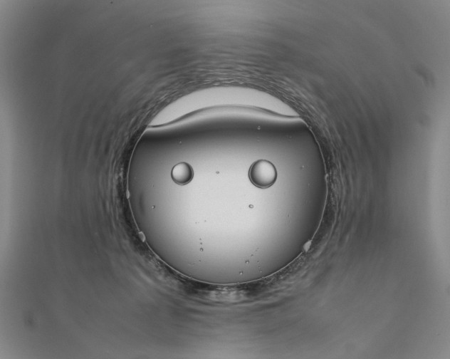 X0000111850225200908061321