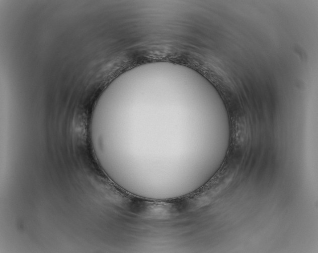 X0000111850226200908061321