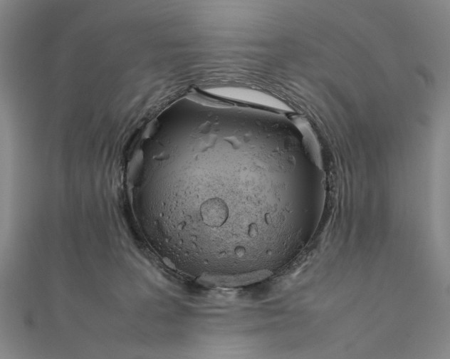 X0000111850227200908061321