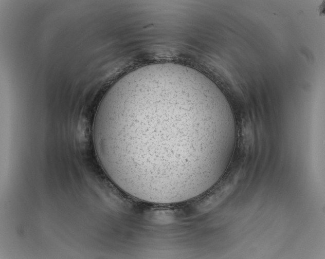 X0000111850228200908061321