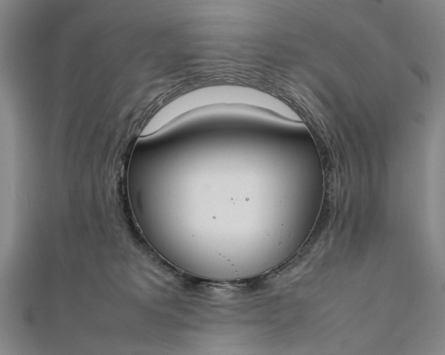 X0000111850229200908061321