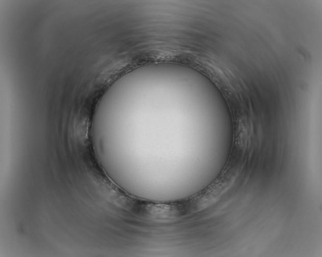 X0000111850230200908061321