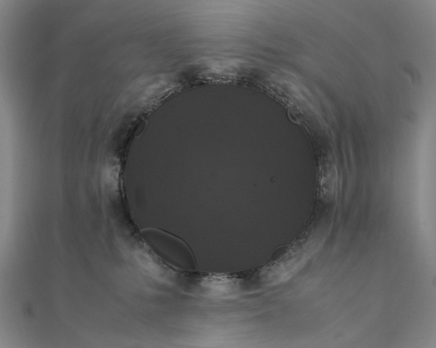 X0000111850231200908061321