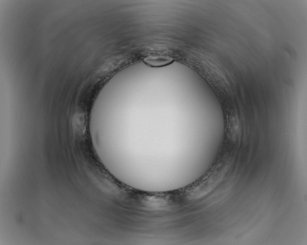 X0000111850232200908061321