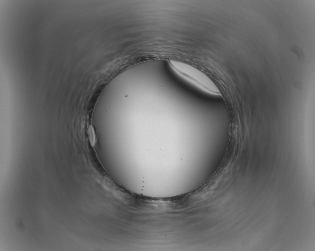 X0000111850233200908061321