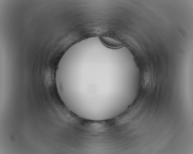 X0000111850236200908061321