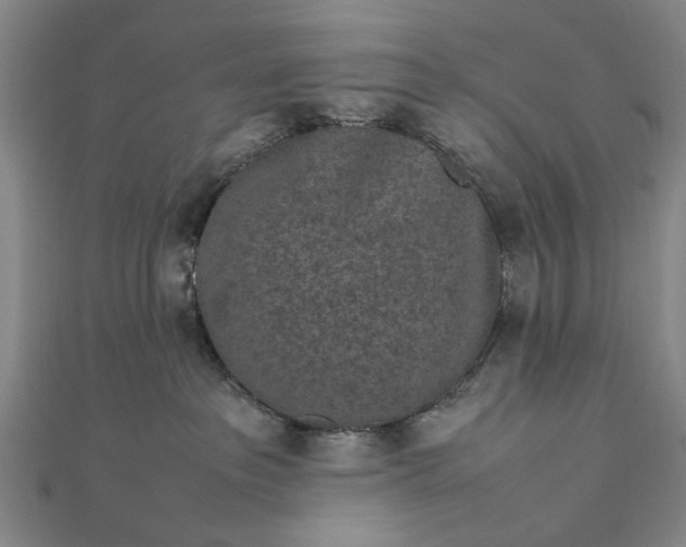 X0000111850237200908061321