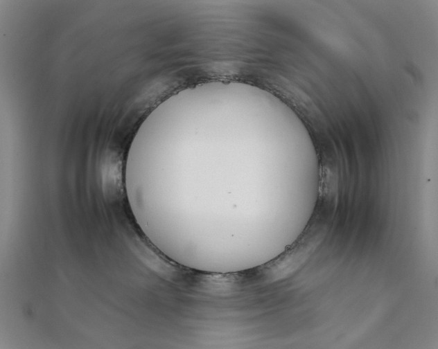 X0000111850238200908061321