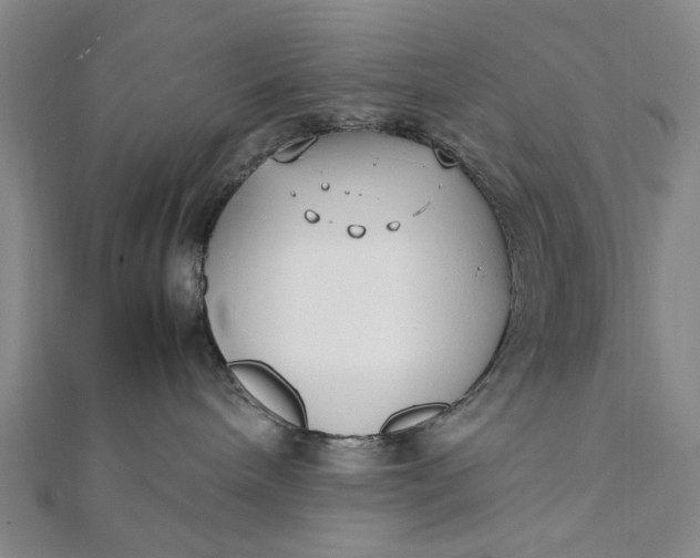 X0000111850240200908061321