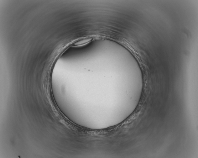 X0000111850241200908061320