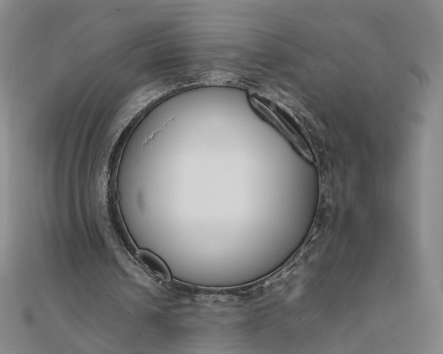 X0000111850242200908061320