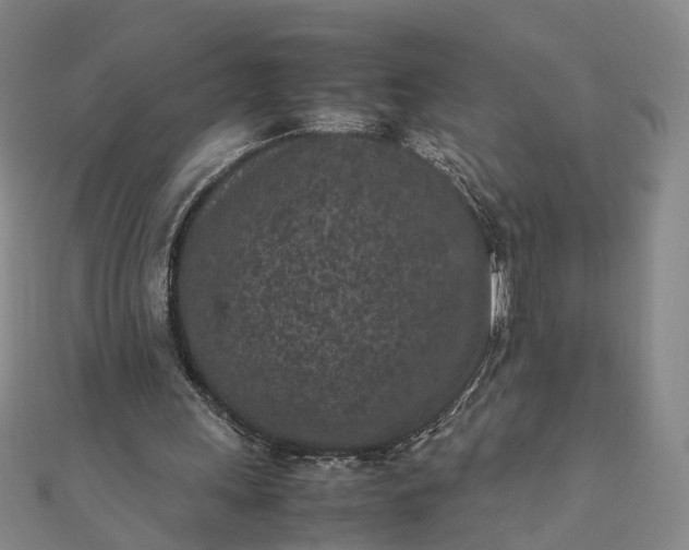 X0000111850243200908061320