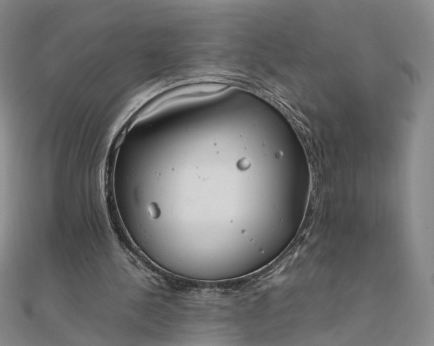 X0000111850244200908061320