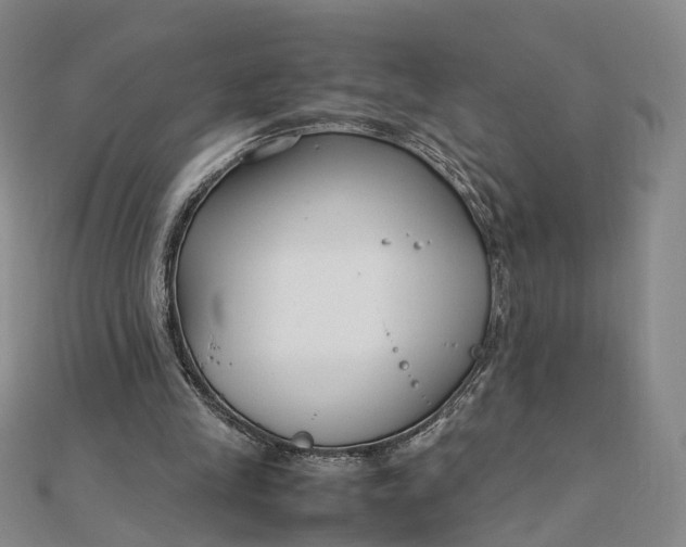 X0000111850245200908061320