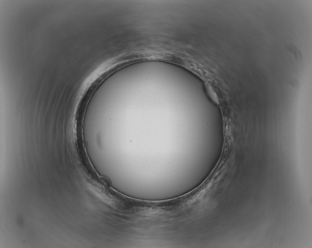 X0000111850246200908061320