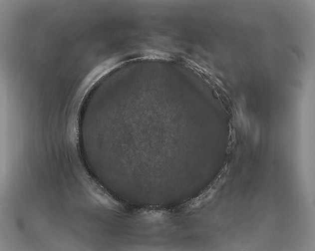 X0000111850247200908061320