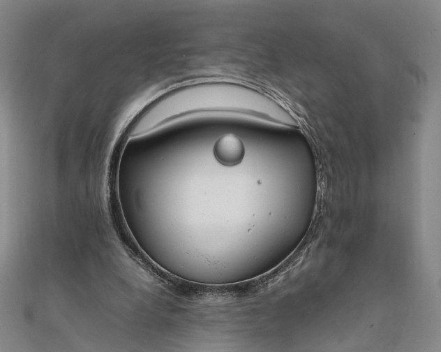 X0000111850248200908061320