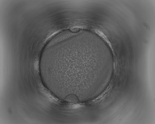 X0000111850249200908061320