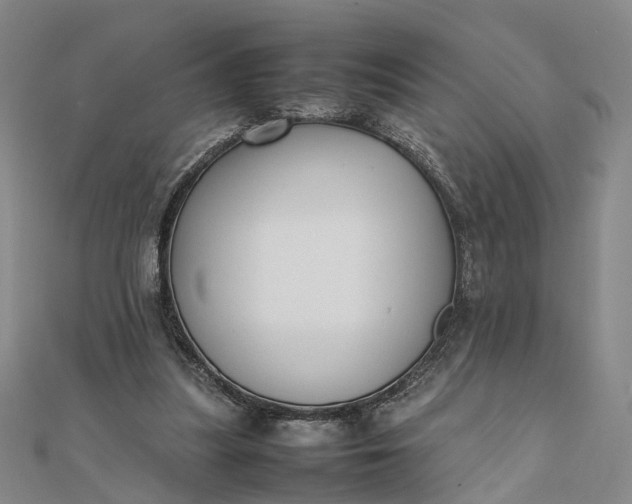 X0000111850251200908061320