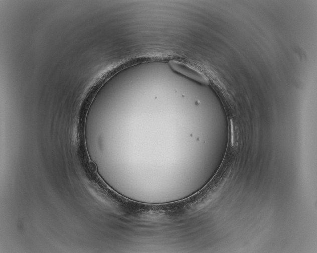 X0000111850252200908061320