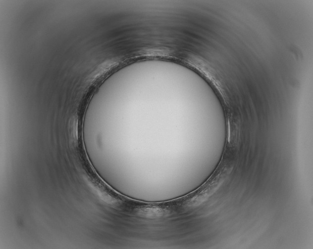 X0000111850253200908061320