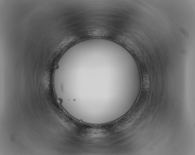 X0000111850255200908061320