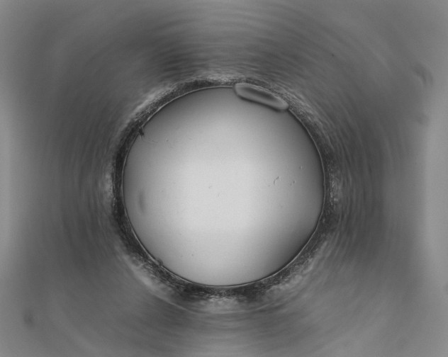 X0000111850256200908061321