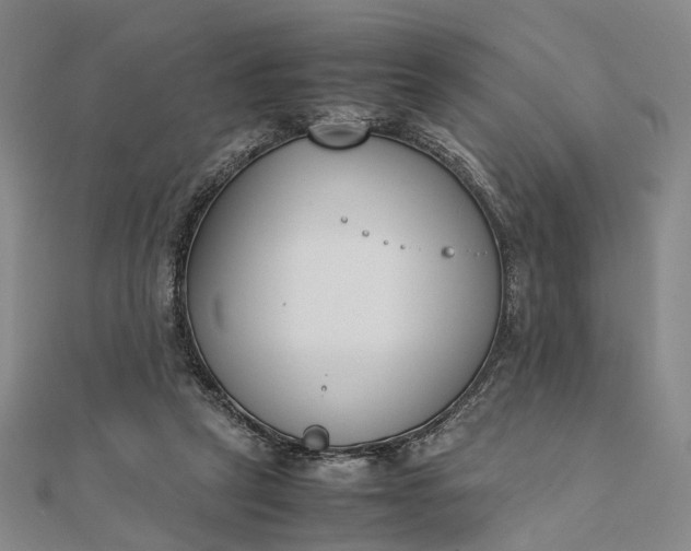 X0000111850257200908061321