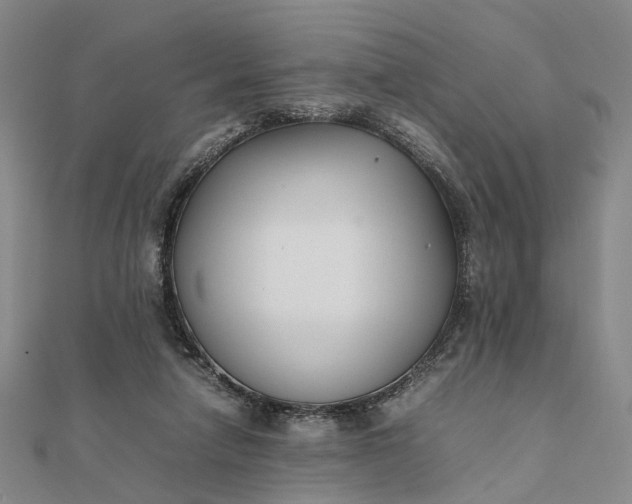 X0000111850258200908061321