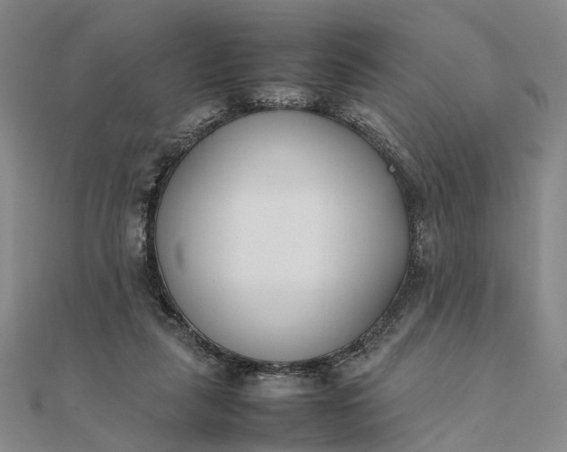 X0000111850259200908061321