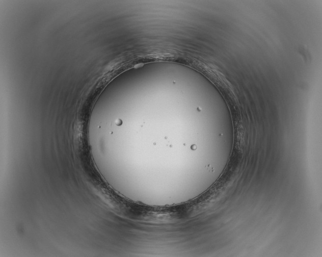 X0000111850260200908061321