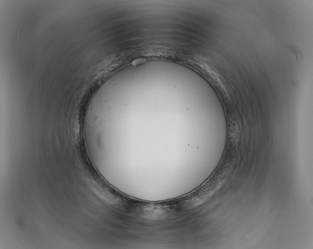 X0000111850261200908061321