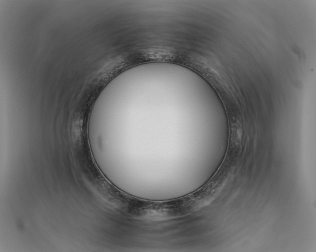 X0000111850263200908061321