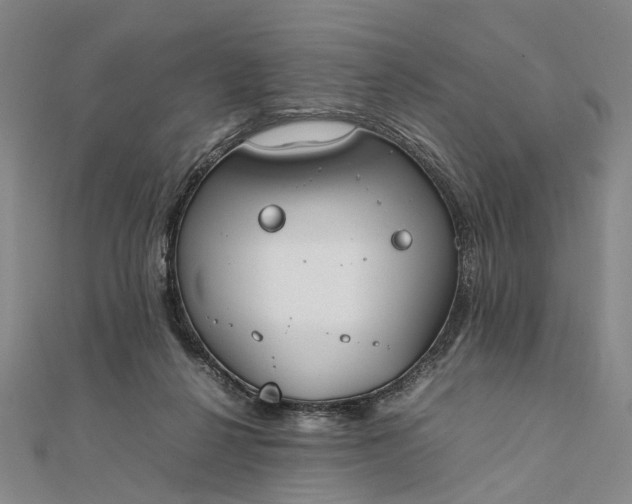 X0000111850264200908061321