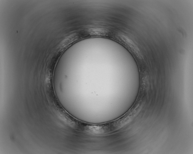 X0000111850265200908061321