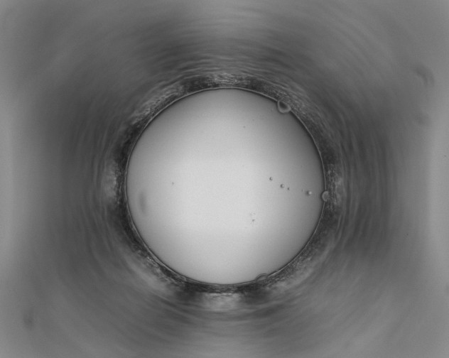 X0000111850266200908061321