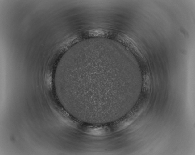 X0000111850267200908061321