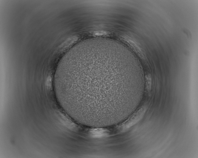 X0000111850269200908061321