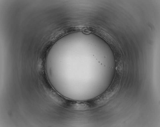 X0000111850270200908061321