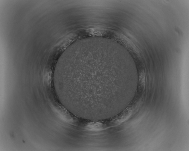 X0000111850271200908061321