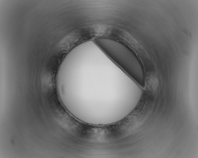 X0000111850272200908061321