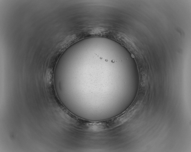 X0000111850273200908061321