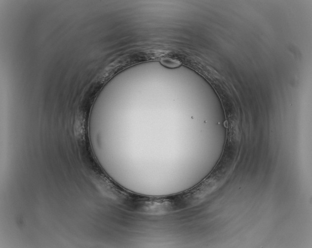 X0000111850274200908061321