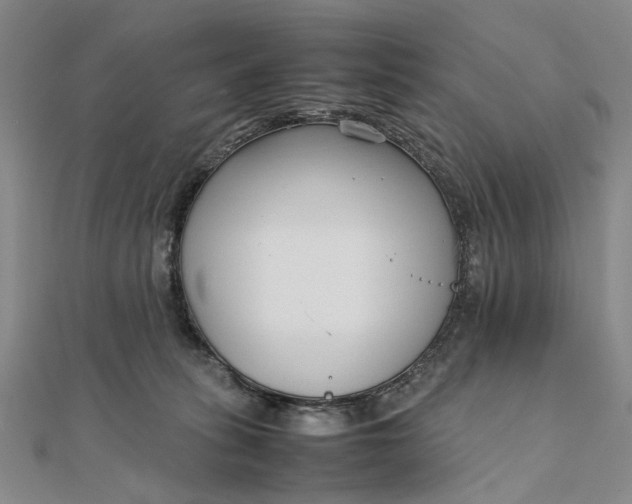 X0000111850275200908061321