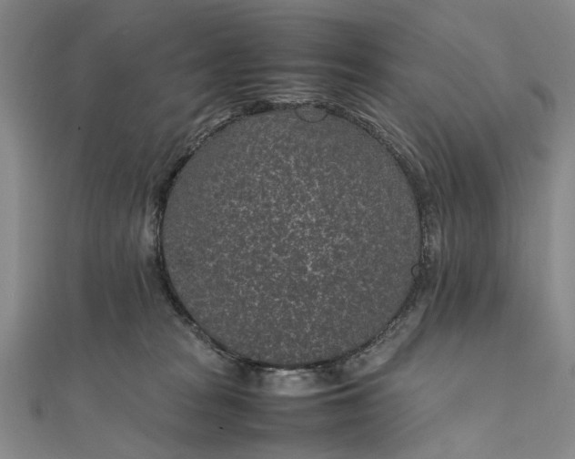 X0000111850277200908061321