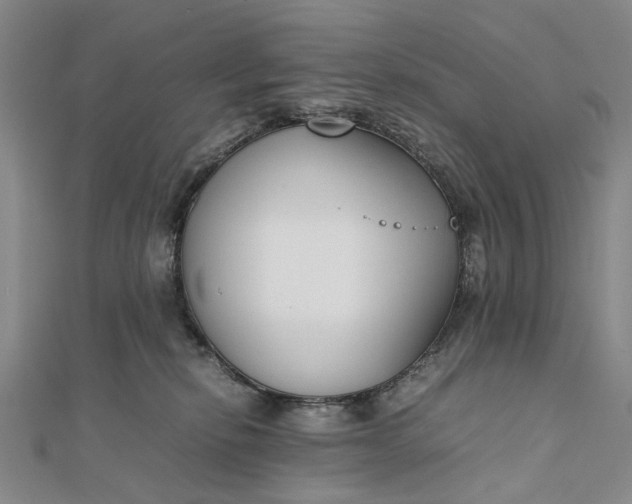 X0000111850278200908061321