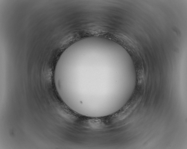 X0000111850279200908061321