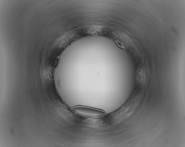 X0000111850280200908061321